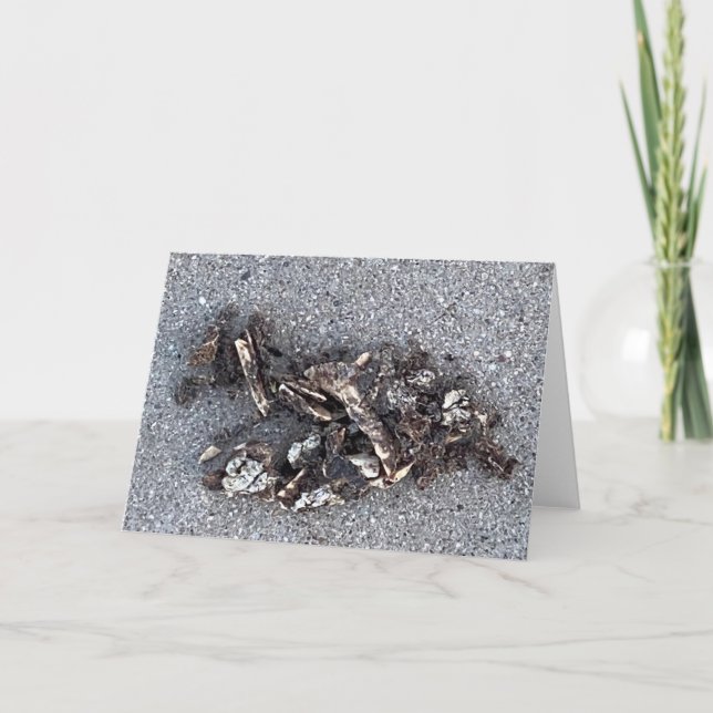 The Little Goat 🐐  Thank You Card (Front)