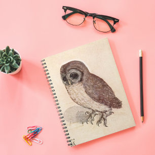 The Little Owl   Albrecht Dürer Notebook