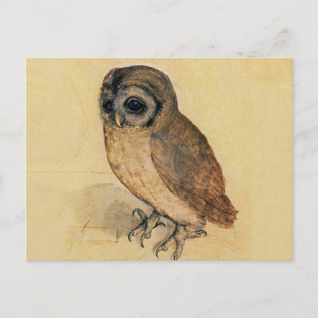 The Little Owl Albrecht Dürer Postcard (Front)