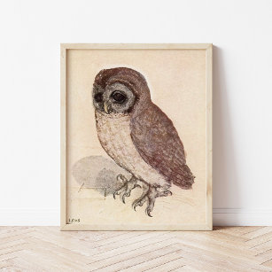 The Little Owl   Albrecht Dürer Poster