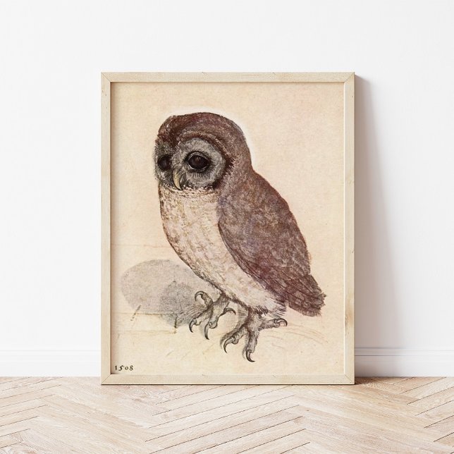 The Little Owl | Albrecht Dürer Poster (Creator Uploaded)