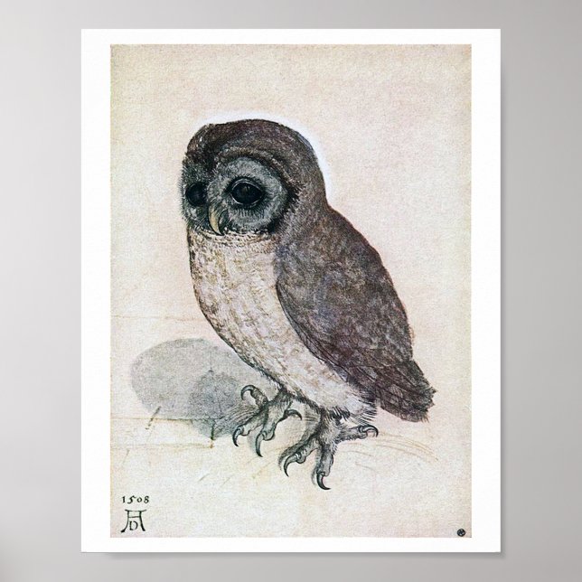 The Little Owl, Albrecht Durer Poster (Front)