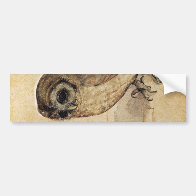The Little Owl (by Albrecht Durer) Bumper Sticker (Front)