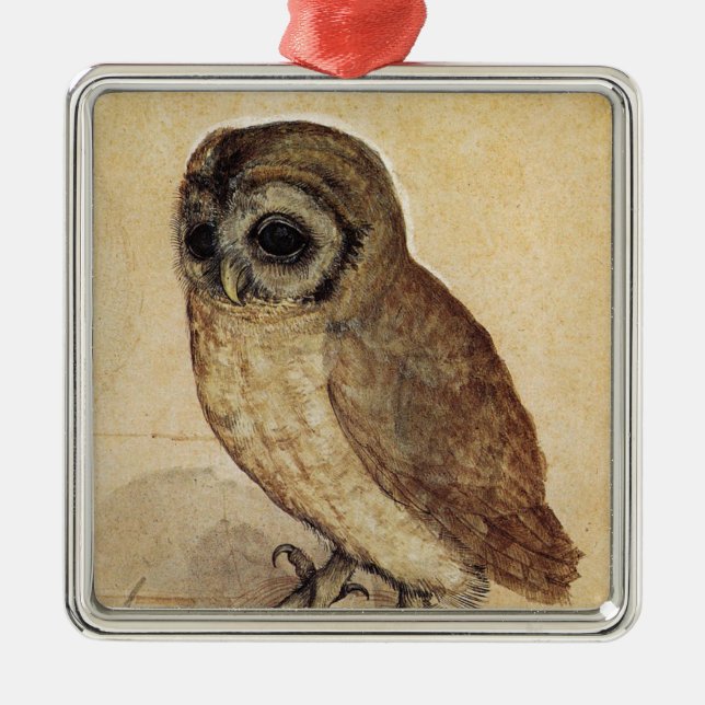 The Little Owl (by Albrecht Durer) Metal Tree Decoration (Front)