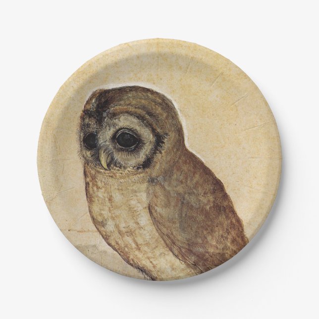 The Little Owl (by Albrecht Durer) Paper Plate (Front)
