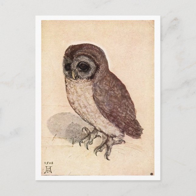 ‘The Little Owl’ by Albrecht Dürer Postcard (Front)