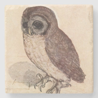 The Little Owl by Albrecht Dürer Square Stone Coaster