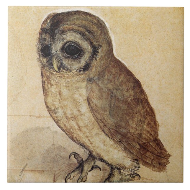 The Little Owl (by Albrecht Durer) Tile (Front)