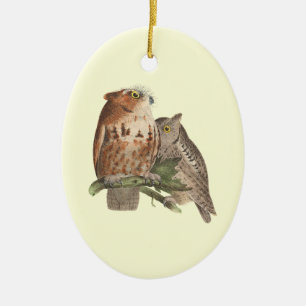The Little Screech Owl	(Bubo asio) Ceramic Tree Decoration