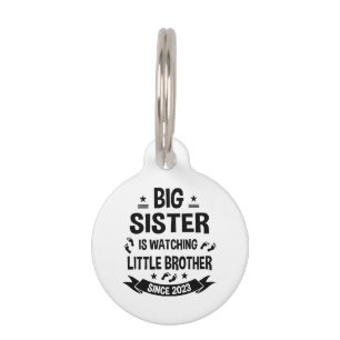 The little sister takes care of the big brother in pet tag