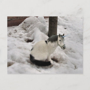 The little Unicat Postcard