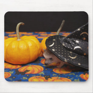 The Littlest Hedge Witch Mouse Mat