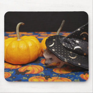 The Littlest Hedge Witch Mouse Mat