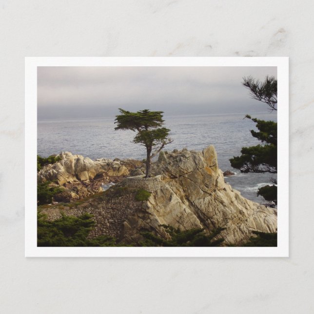 The Lone Cyprus Postcard (Front)