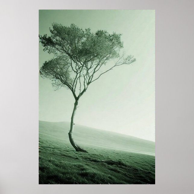 The Lone Sentinel: A Windswept Tree Poster (Front)