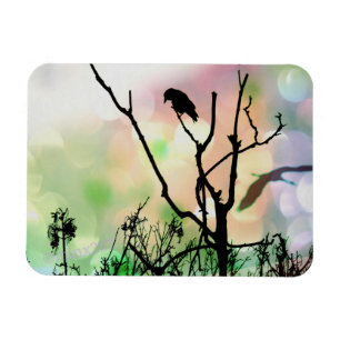 The Lonely Crow Magnet