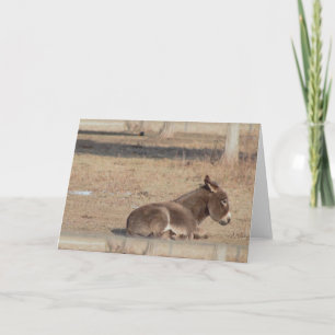 The Lonely Donkey Card