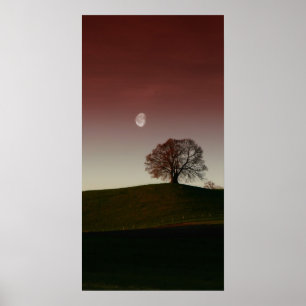 The lonely tree and the pale moon poster