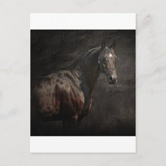 The loner postcard