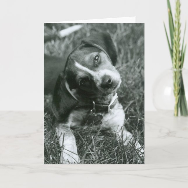 The Look Card (Front)