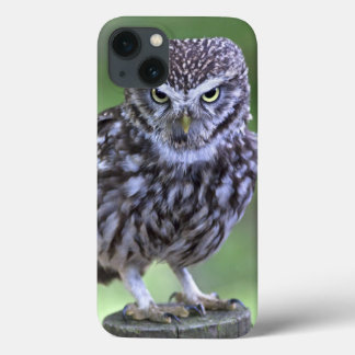 The Look iPad Case