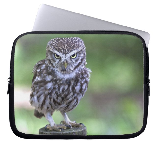 The Look Laptop Sleeve (Front)
