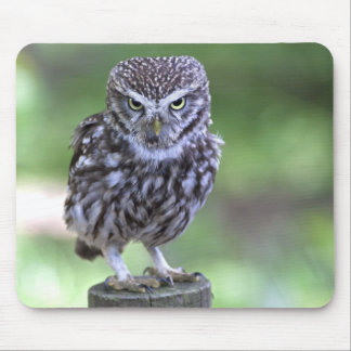 The Look Mousemat