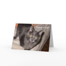 The Look of Love Valentine's Day Greeting  Card