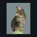 "The Lookout" Tabby Cat on Wood Post Illustration Postcard<br><div class="desc">This is a painting of a tabby cat sitting on a small wood post and carefully observing her environment. You can see her side profile and her beautiful stripes. She has yellow eyes. Painted on Arches cold press paper with Daniel Smith watercolor paints.</div>