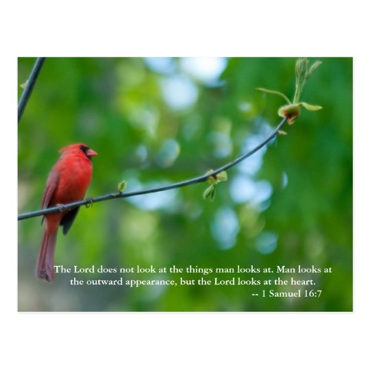 The Lord does not look at the things man looks at. Postcard