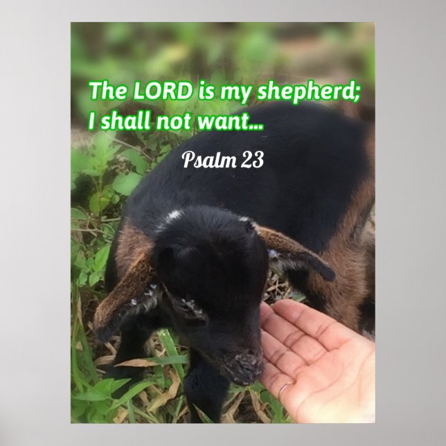 The Lord Is My Shepherd Bible Verse Picture  Poster (Front)