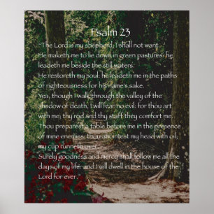 The Lord is my shepherd, Psalm 23 Poster
