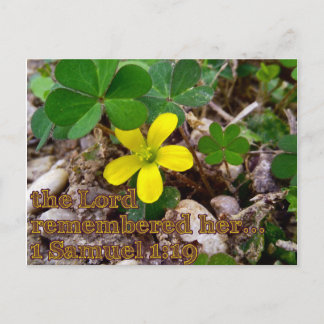 The Lord Remembered Her Bible Verse Postcard