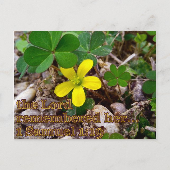 The Lord Remembered Her Bible Verse Postcard (Front)