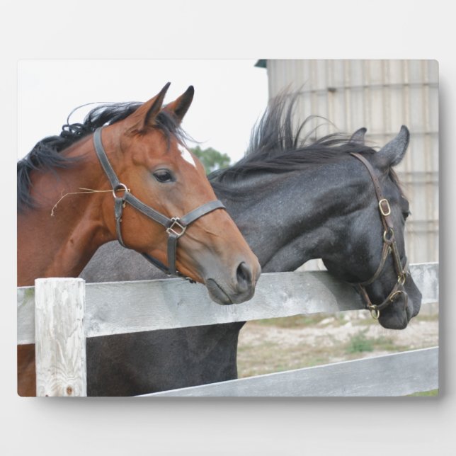 The Love Horses Plaque (Front)