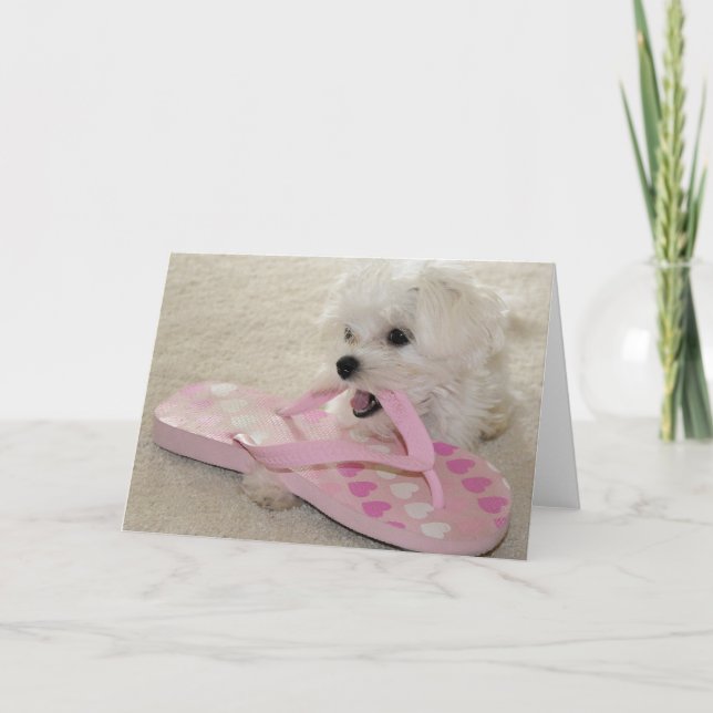 The love of shoes card (Front)