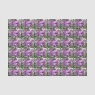 The lovely Lilacs Tissue Paper