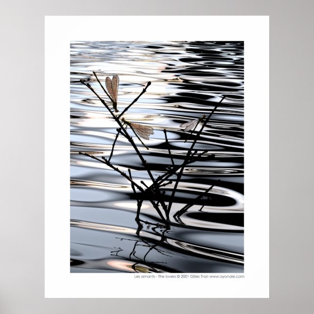 The lovers - Les amants Poster (Front)