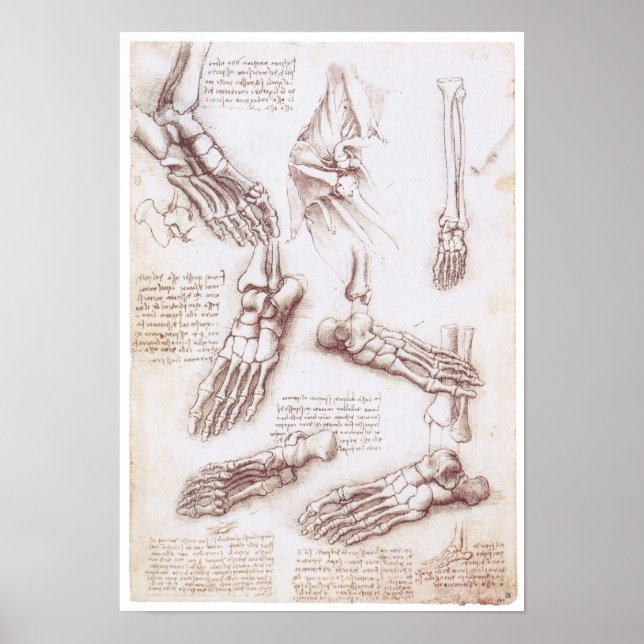 The Lower Extremity, Leonardo da Vinci Poster (Front)