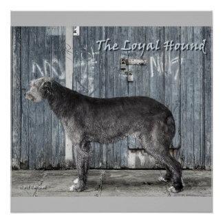 The Loyal Hound  Poster
