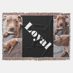THE LOYAL PIT BULL throw