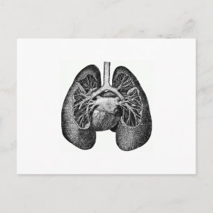 The lungs & heart postcard