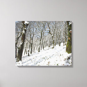 The Macclesfield Forest winter Card Canvas Print