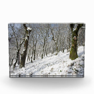 The Macclesfield Forest winter Card Canvas Print Photo Block