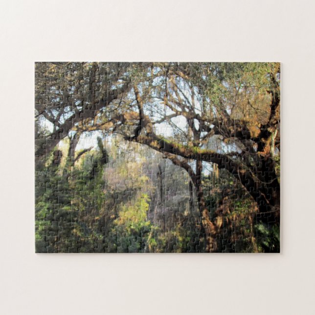 The Magic Forest Puzzle (Horizontal)