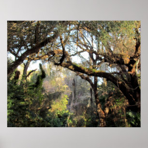 The Magic Forrest Poster