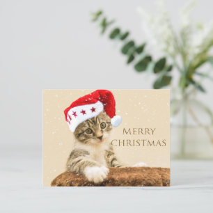 The Magic Holiday Postcard