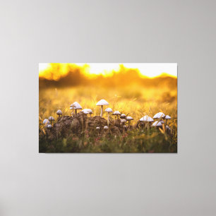 The Magic of Mushrooms Canvas Print