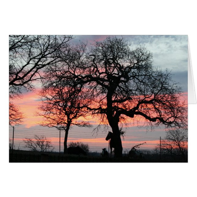 The Magic Sky (Front Horizontal)