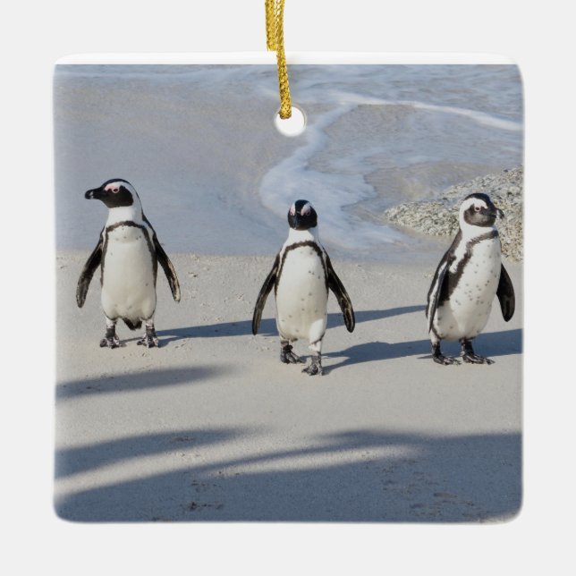 The Magnificent Three. Ceramic Ornament (Front)